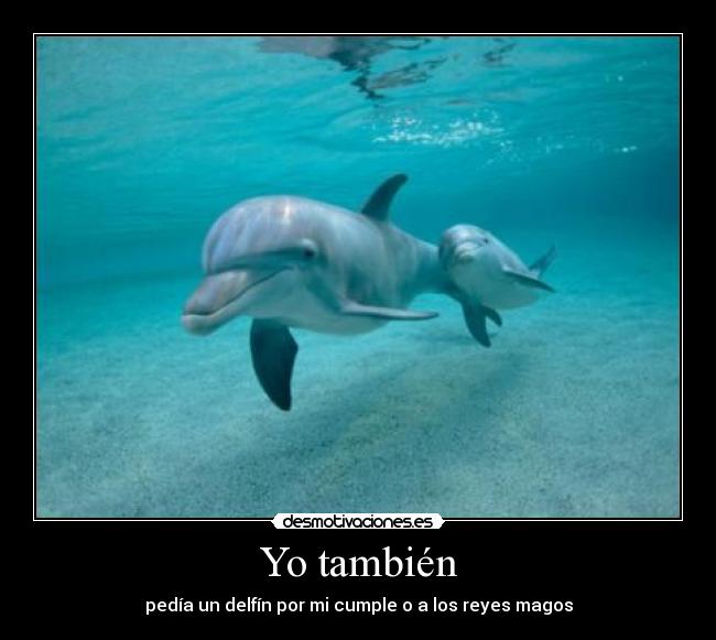 Yo también - pedía un delfín por mi cumple o a los reyes magos