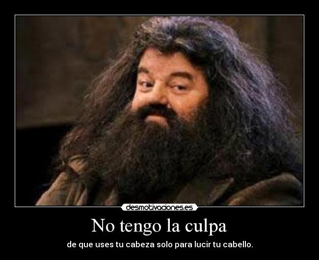 No tengo la culpa -
