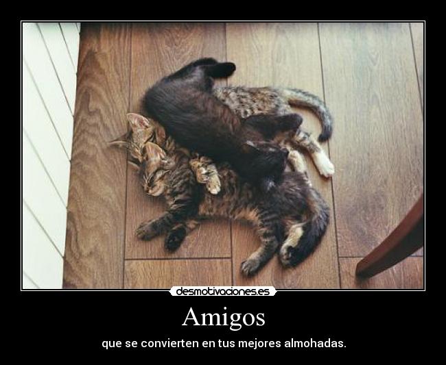 Amigos -