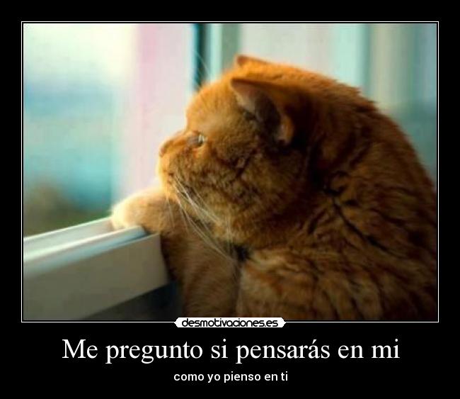 Me pregunto si pensarás en mi - como yo pienso en ti