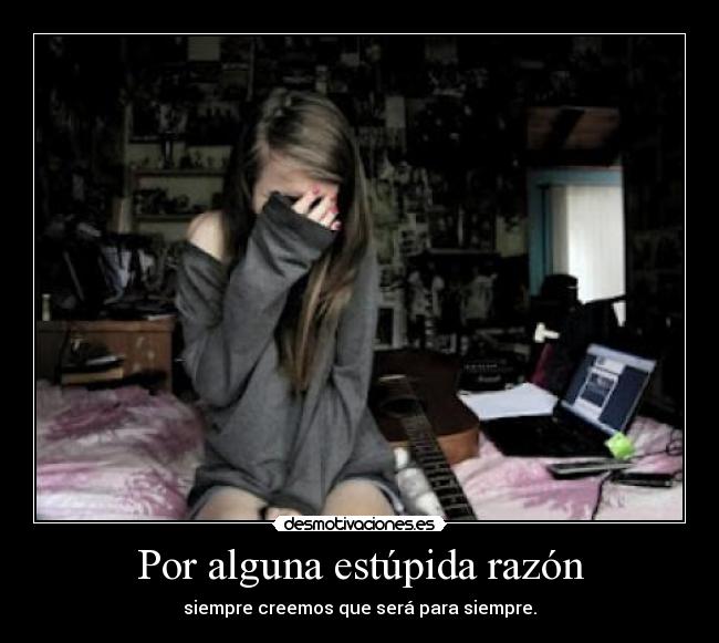 Por alguna estúpida razón - 