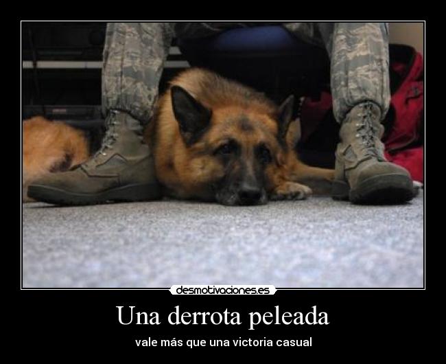 Una derrota peleada - vale más que una victoria casual