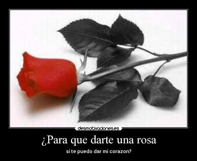 ¿Para que darte una rosa - si te puedo dar mi corazon?