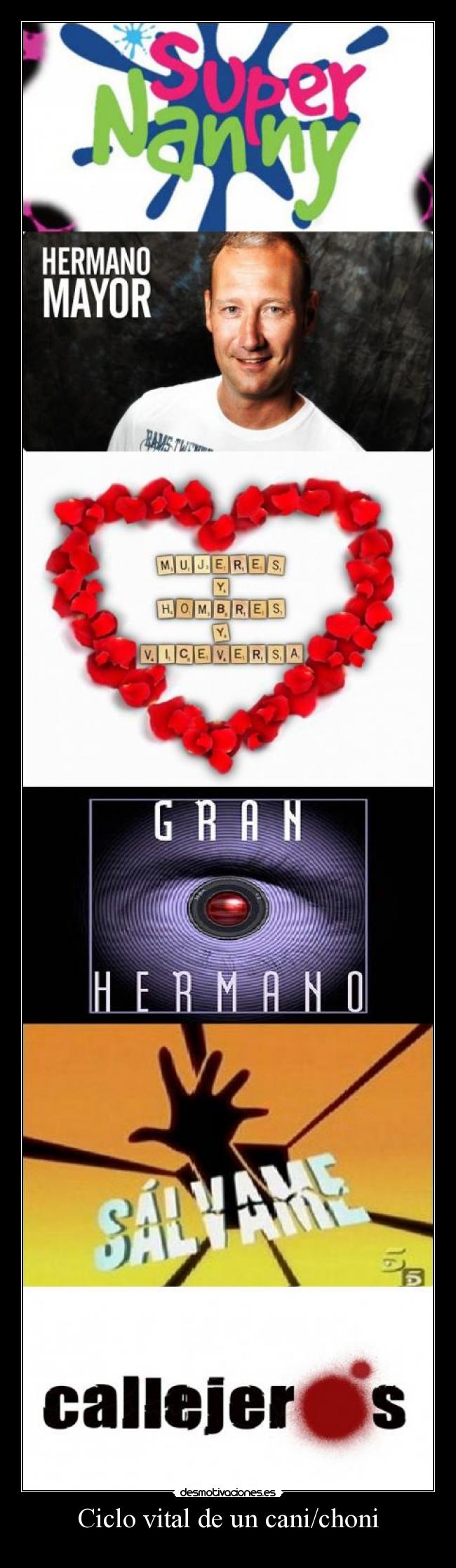 Ciclo vital de un cani/choni -