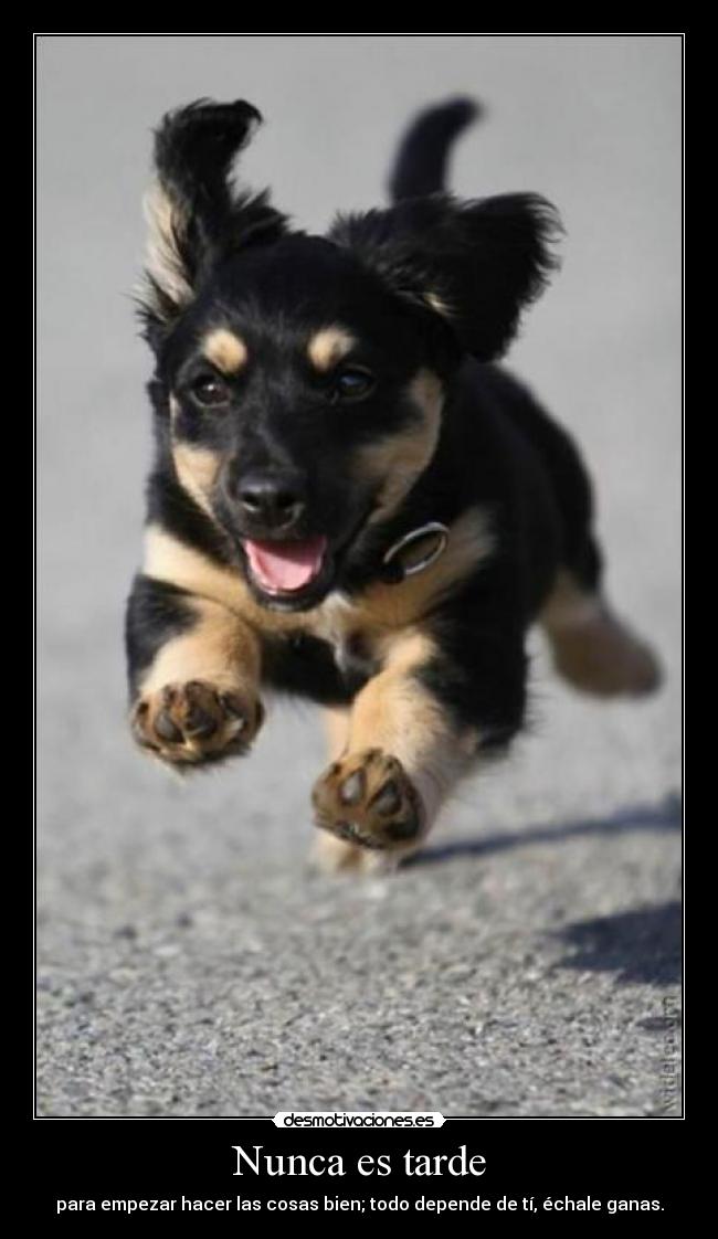 Nunca es tarde -
