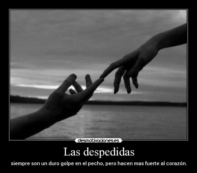 Las despedidas - siempre son un duro golpe en el pecho, pero hacen mas fuerte al corazón.