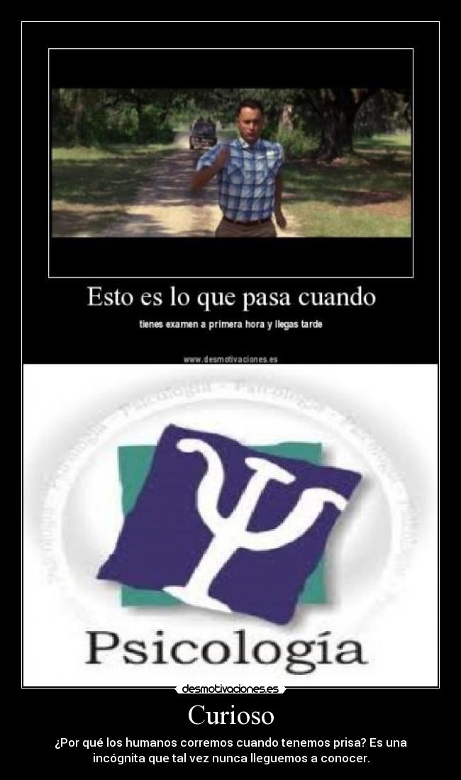 Curioso - ¿Por qué los humanos corremos cuando tenemos prisa? Es una
incógnita que tal vez nunca lleguemos a conocer.