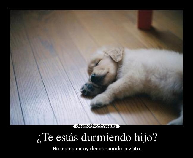 ¿Te estás durmiendo hijo? - No mama estoy descansando la vista.