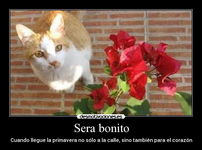 Sera bonito - Cuando llegue la primavera no sólo a la calle, sino también para el corazón