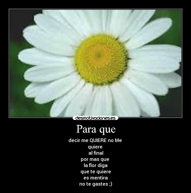 Para que - decir me QUIERE no Me
quiere
al final
por mas que
la flor diga
que te quiere
es mentira
no te gastes ;)