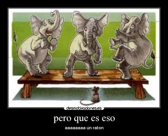 pero que es eso - aaaaaaaa un raton