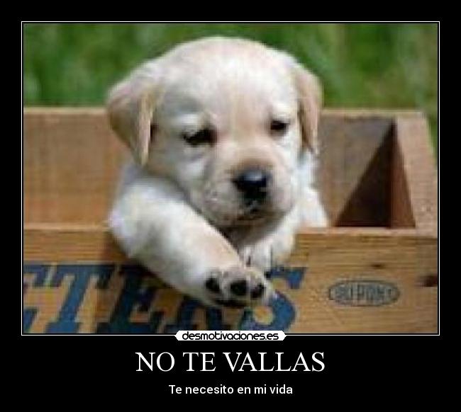 NO TE VALLAS -