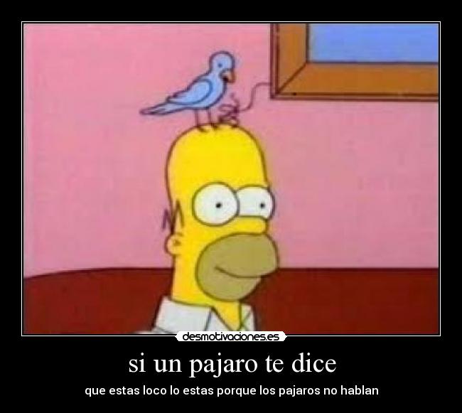 si un pajaro te dice - que estas loco lo estas porque los pajaros no hablan