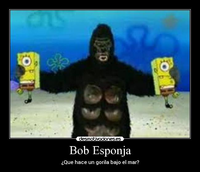 Bob Esponja - ¿Que hace un gorila bajo el mar?