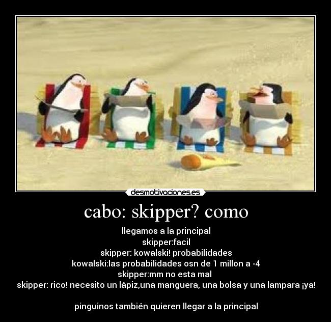 cabo: skipper? como - llegamos a la principal
skipper:facil
skipper: kowalski! probabilidades
kowalski:las probabilidades osn de 1 millon a -4
skipper:mm no esta mal 
skipper: rico! necesito un lápiz,una manguera, una bolsa y una lampara ¡ya!

pinguinos también quieren llegar a la principal