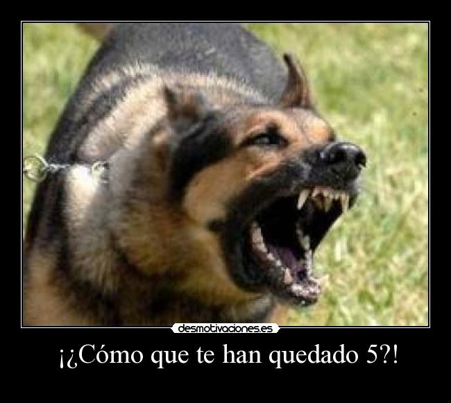 ¡¿Cómo que te han quedado 5?! - 