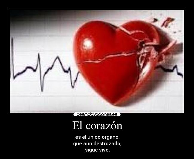 El corazón - es el unico organo,
que aun destrozado,
sigue vivo.