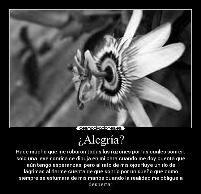 ¿Alegría? -