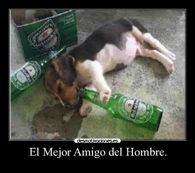 El Mejor Amigo del Hombre. -