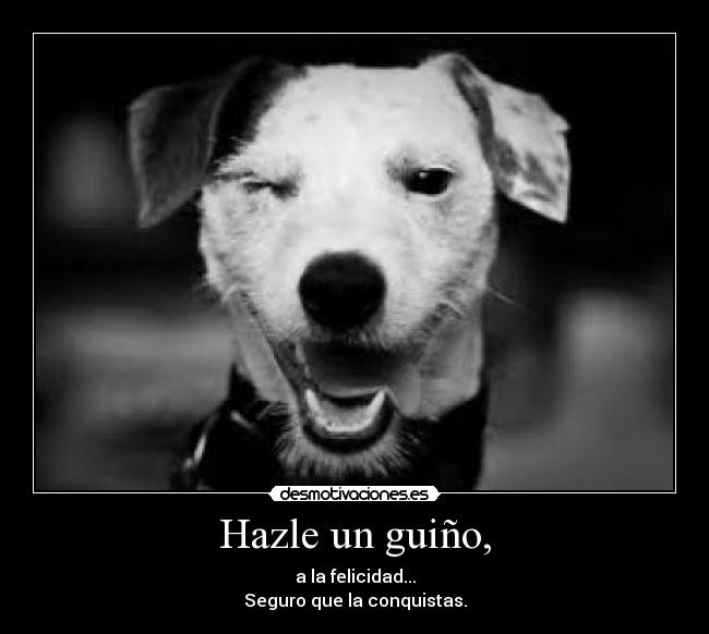 Hazle un guiño, - 