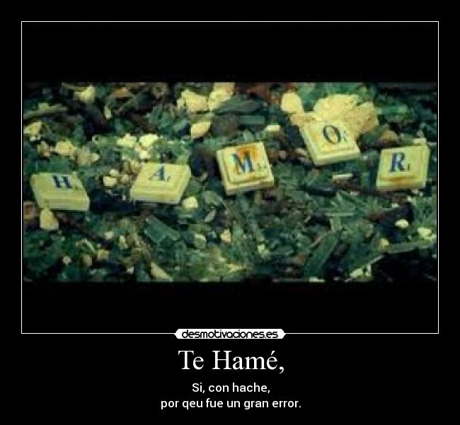 Te Hamé, - Si, con hache,
por qeu fue un gran error.