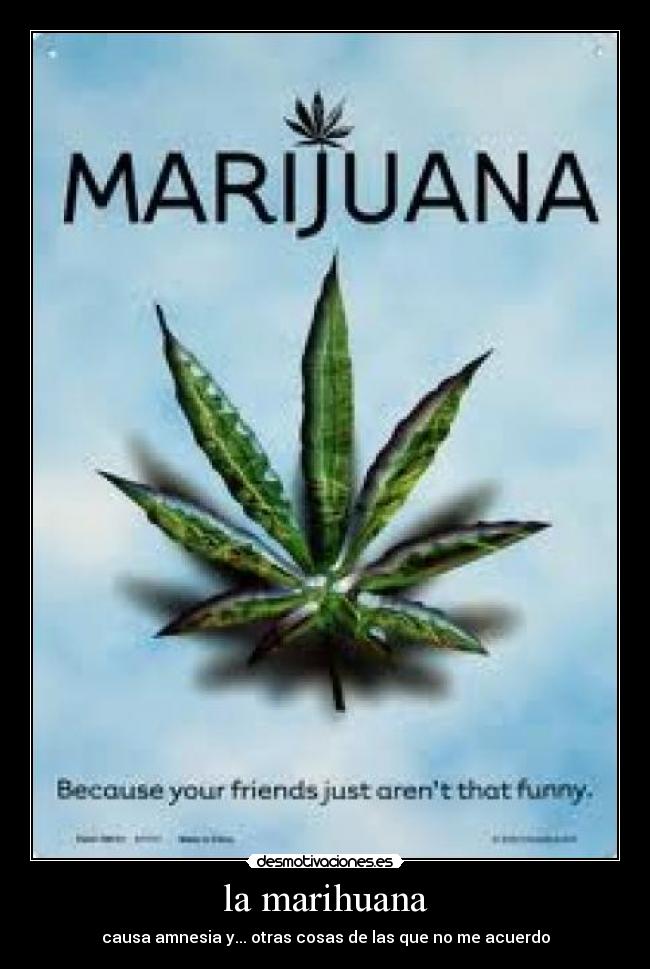 la marihuana - causa amnesia y... otras cosas de las que no me acuerdo