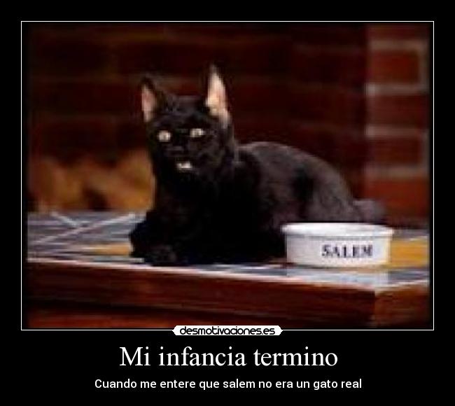 Mi infancia termino - 