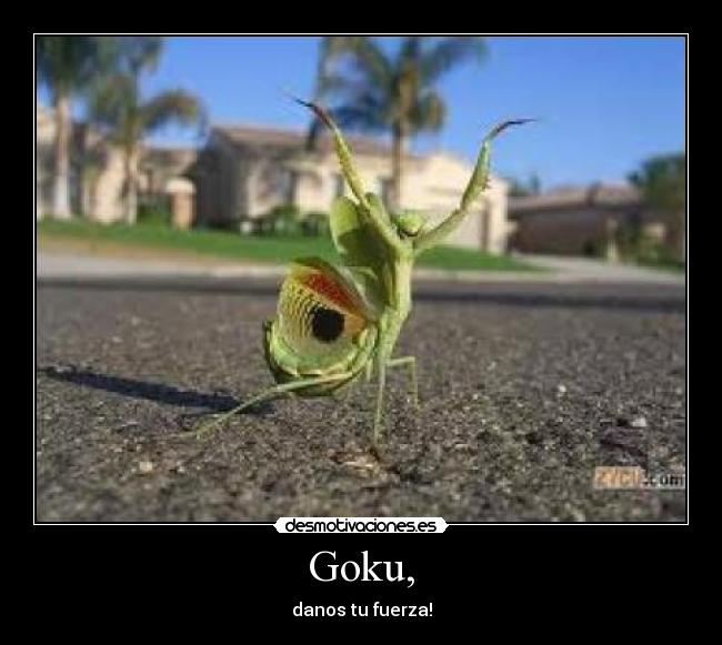 Goku, - 