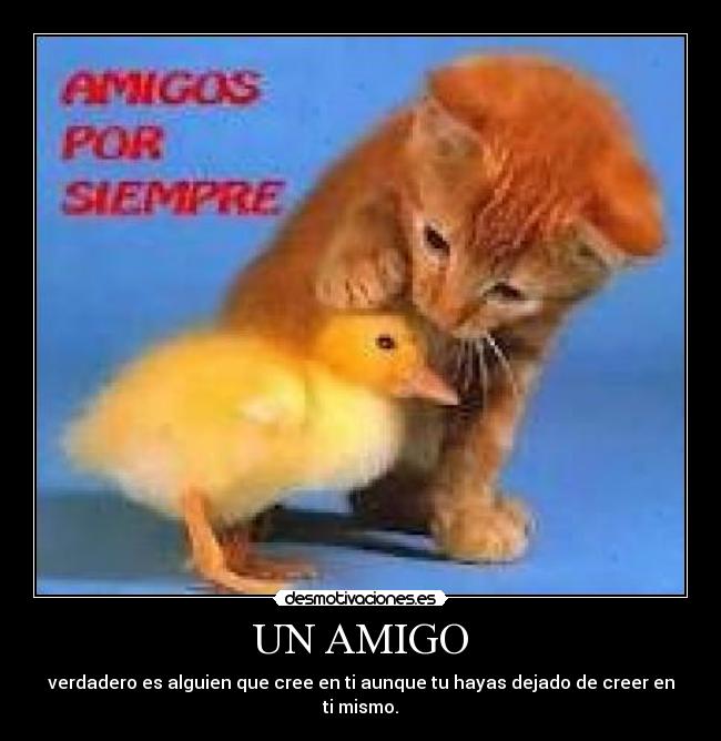 UN AMIGO -