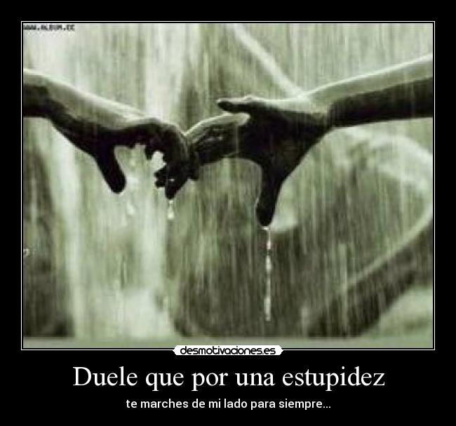 Duele que por una estupidez - 