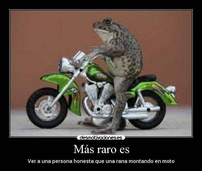 Más raro es - Ver a una persona honesta que una rana montando en moto