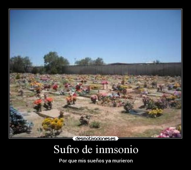 Sufro de inmsonio - Por que mis sueños ya murieron