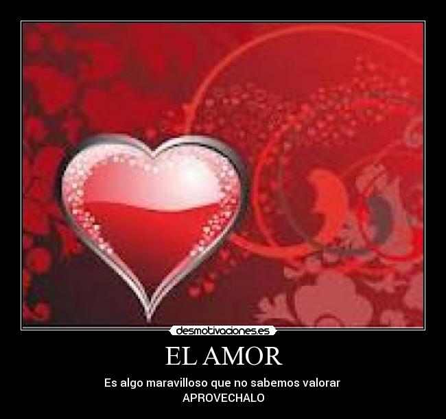 EL AMOR - Es algo maravilloso que no sabemos valorar 
APROVECHALO