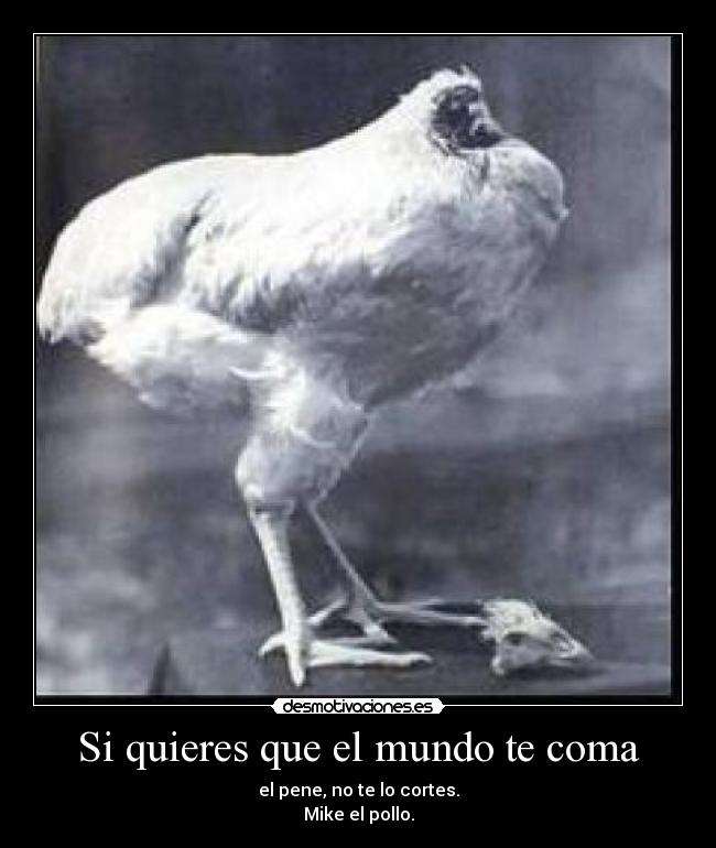 Si quieres que el mundo te coma - 