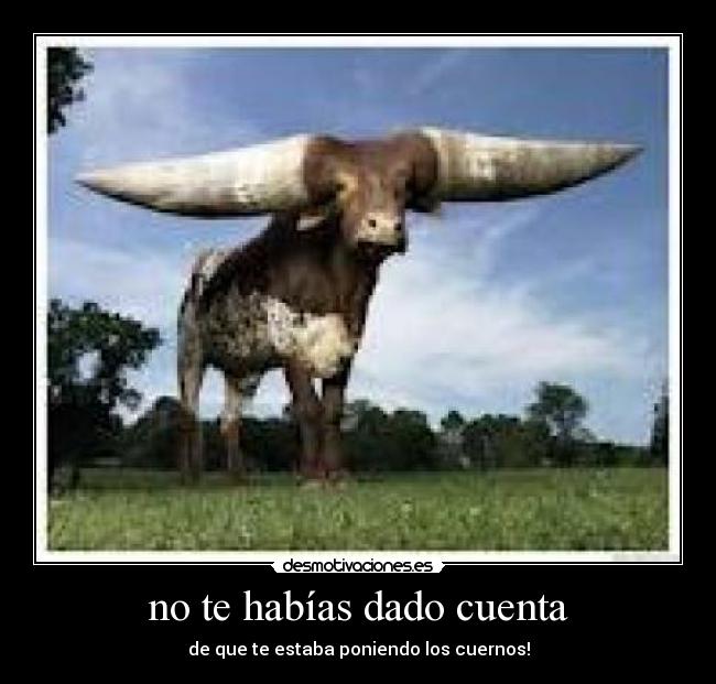 no te habías dado cuenta - de que te estaba poniendo los cuernos!