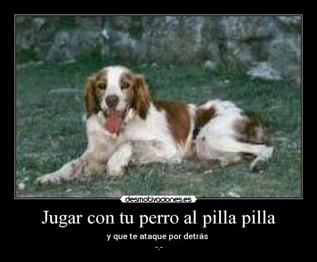 Jugar con tu perro al pilla pilla - y que te ataque por detrás
-.-