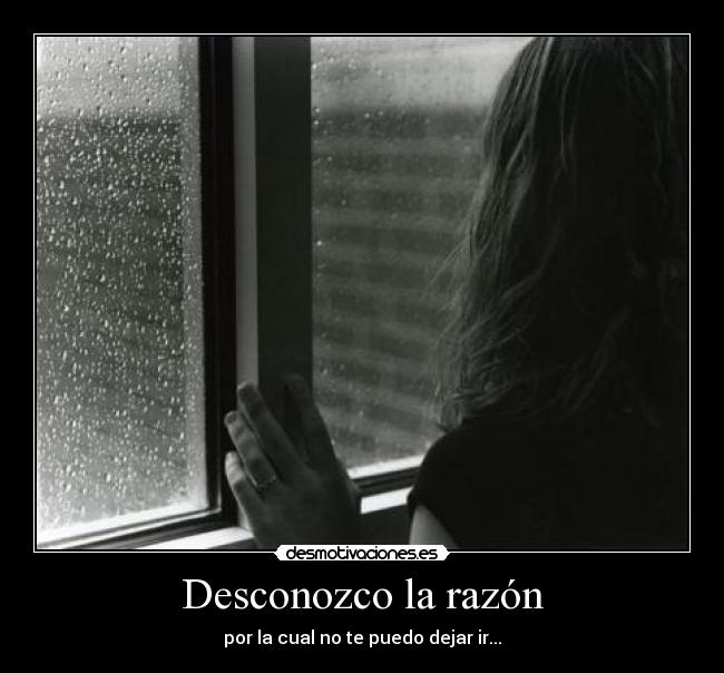 Desconozco la razón -