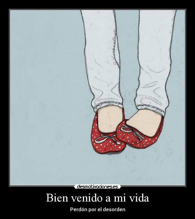 Bien venido a mi vida - Perdón por el desorden