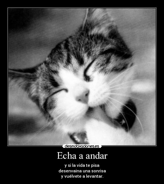 Echa a andar - y si la vida te pisa
desenvaina una sonrisa
y vuélvete a levantar.