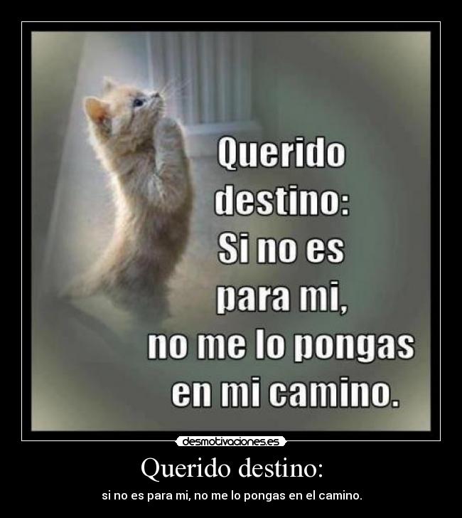 Querido destino: - si no es para mi, no me lo pongas en el camino.