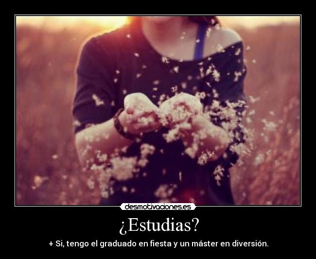 ¿Estudias? - + Si, tengo el graduado en fiesta y un máster en diversión.