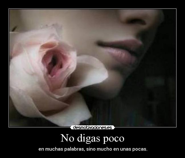 No digas poco - 