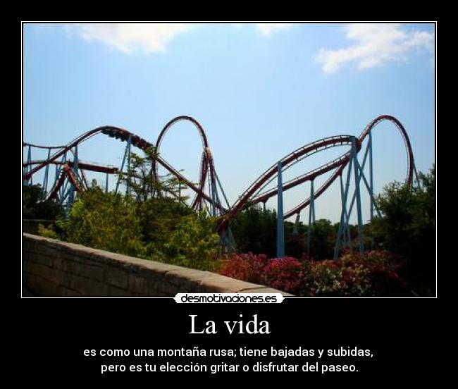 La vida - es como una montaña rusa; tiene bajadas y subidas,
pero es tu elección gritar o disfrutar del paseo.