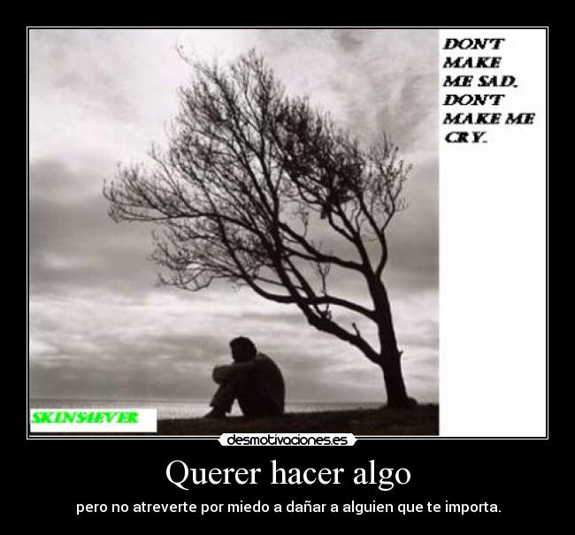 carteles querer algo miedo importa desmotivaciones