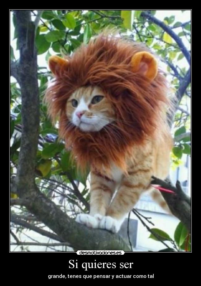 Si quieres ser - 
