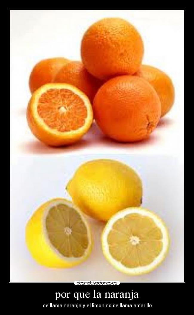por que la naranja - se llama naranja y el limon no se llama amarillo