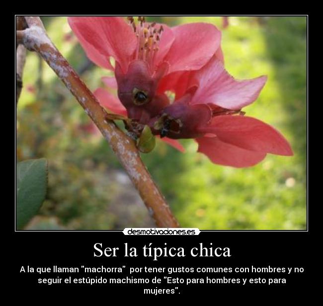 Ser la típica chica -