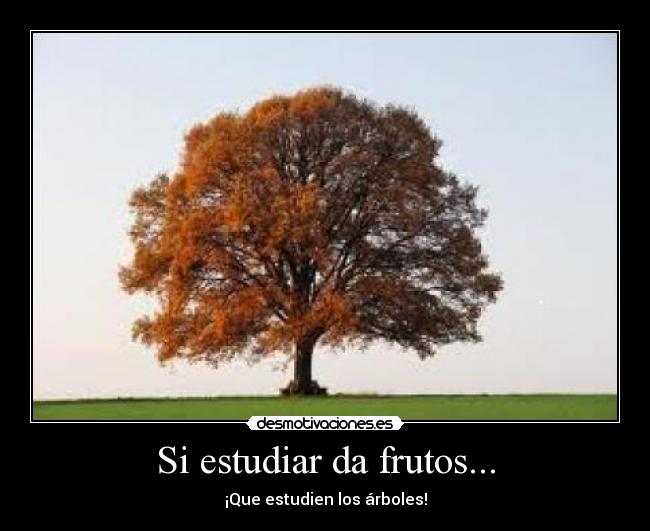 Si estudiar da frutos... - ¡Que estudien los árboles!