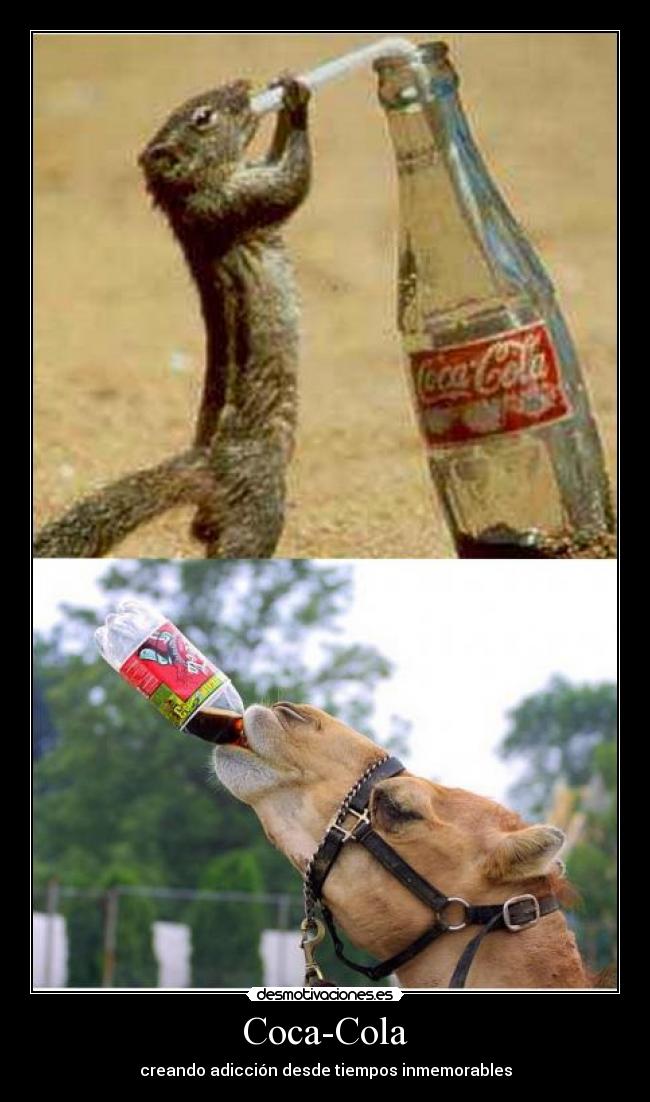 carteles coca cola desmotivaciones