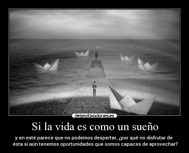 Si la vida es como un sueño - y en esté parece que no podemos despertar, ¿por qué no disfrutar de 
 ésta si aún tenemos oportunidades que somos capaces de aprovechar?